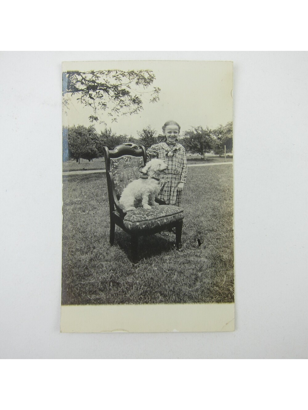 RPPC Photo Postcard Girl Gladys Raman & Pet Dog Darke County Ohio Antique 1910s